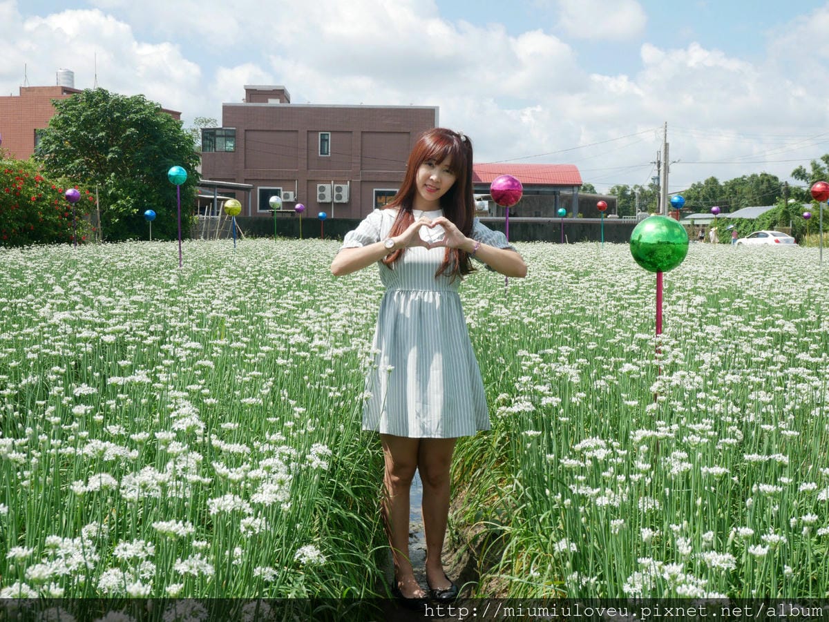 P1160868_meitu_63.jpg P1160868_meitu_63.jpg