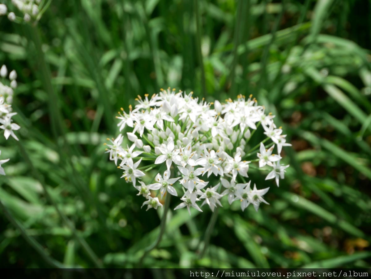 P1170079_meitu_43.jpg P1170079_meitu_43.jpg