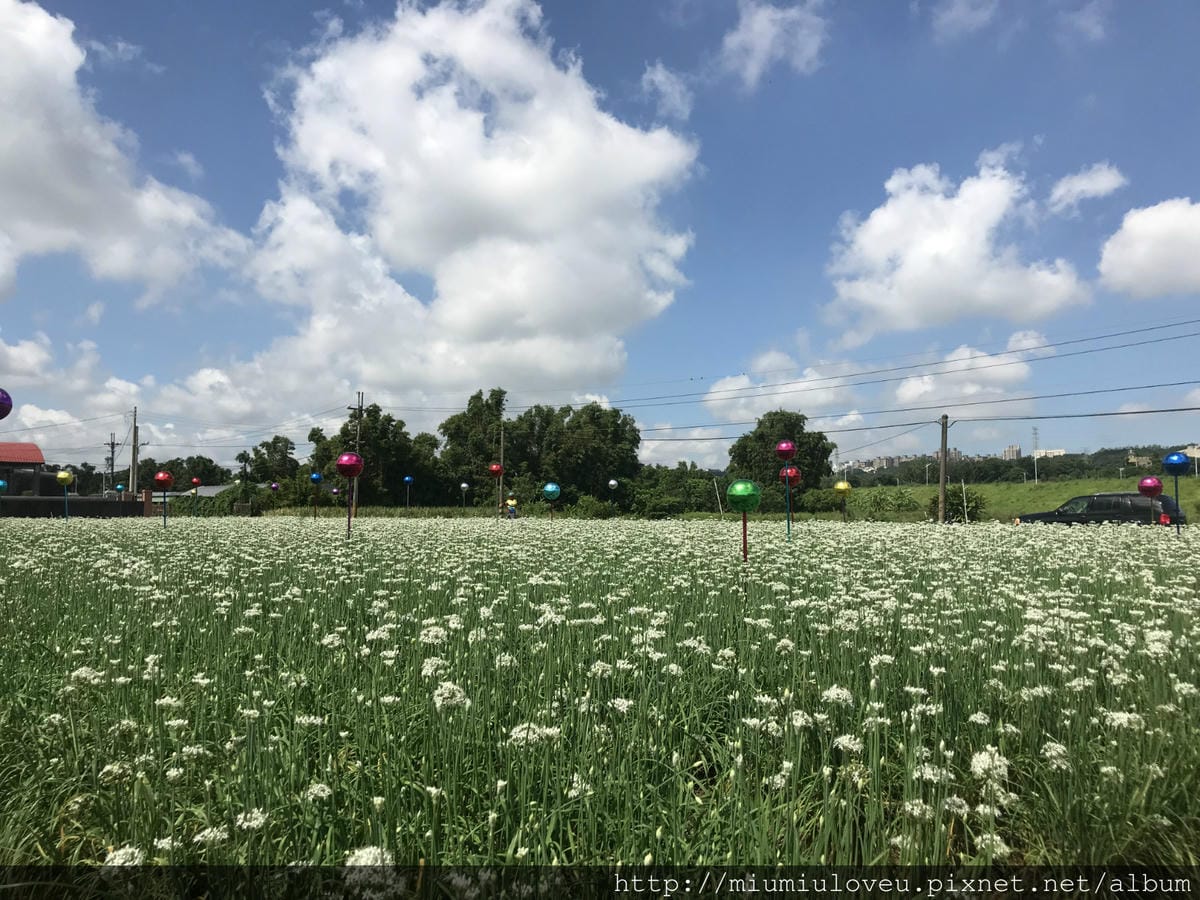 IMG_4558_meitu_41.jpg IMG_4558_meitu_41.jpg