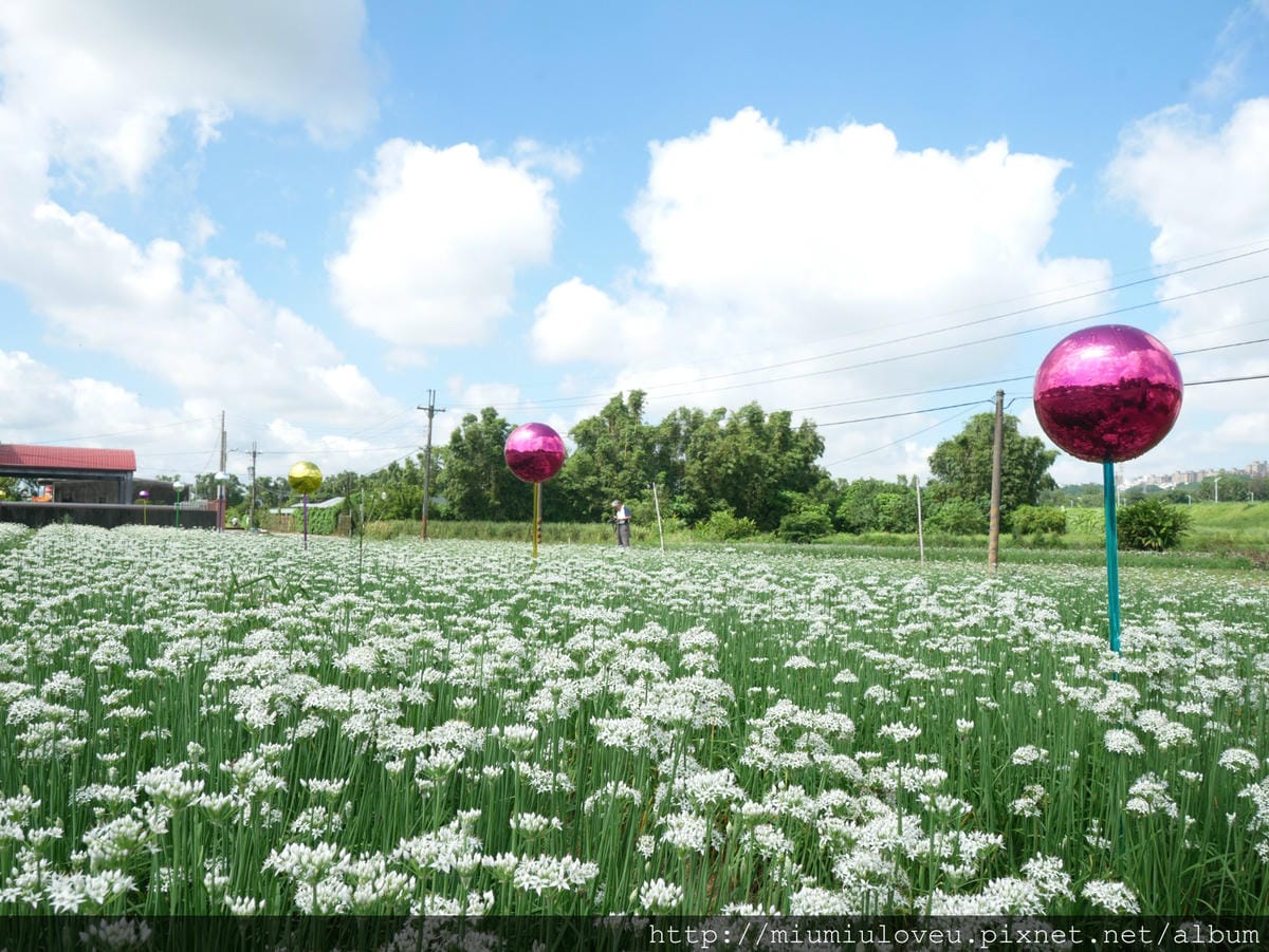 P1160772_meitu_51.jpg P1160772_meitu_51.jpg