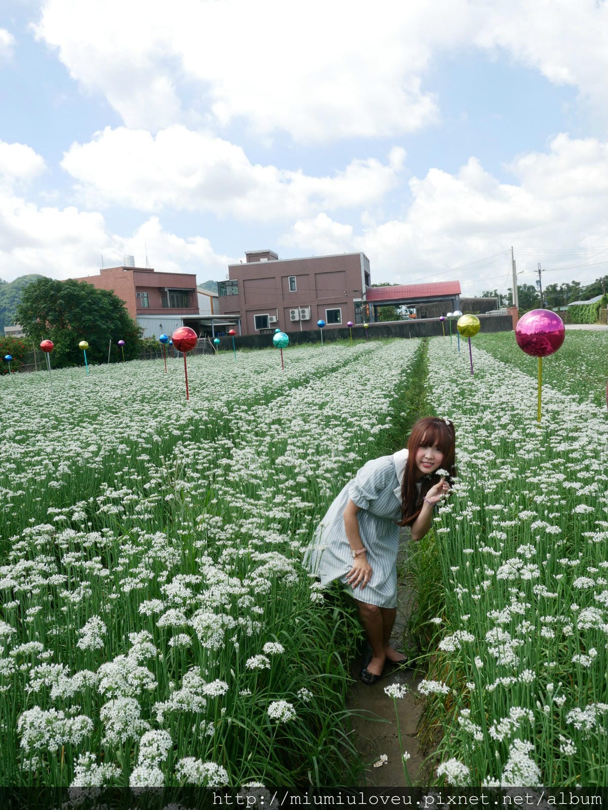 P1160985_meitu_70.jpg P1160985_meitu_70.jpg