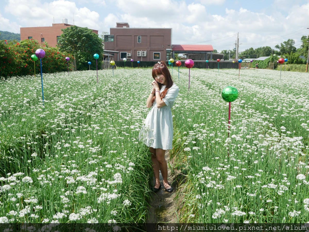 P1160886_meitu_65.jpg P1160886_meitu_65.jpg