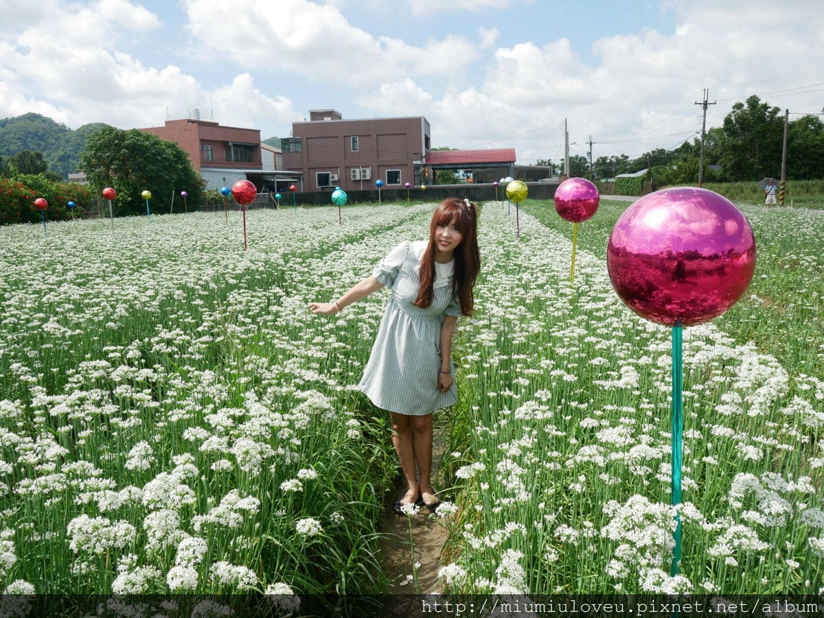 P1160970_meitu_69.jpg P1160970_meitu_69.jpg