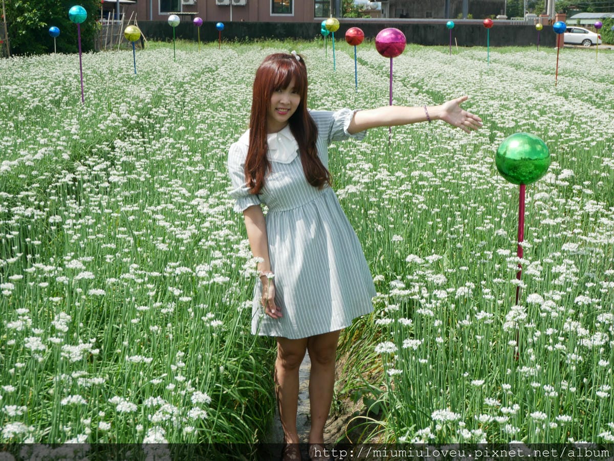 P1160874_meitu_71.jpg P1160874_meitu_71.jpg