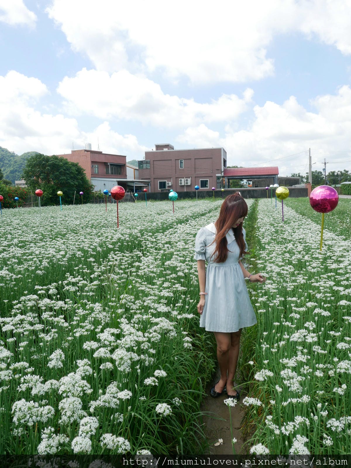 P1160982_meitu_68.jpg P1160982_meitu_68.jpg