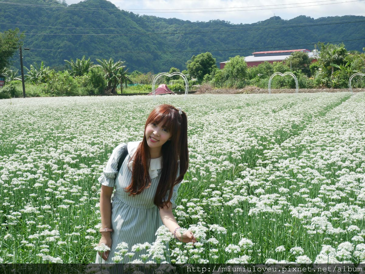 P1170076_meitu_67.jpg P1170076_meitu_67.jpg