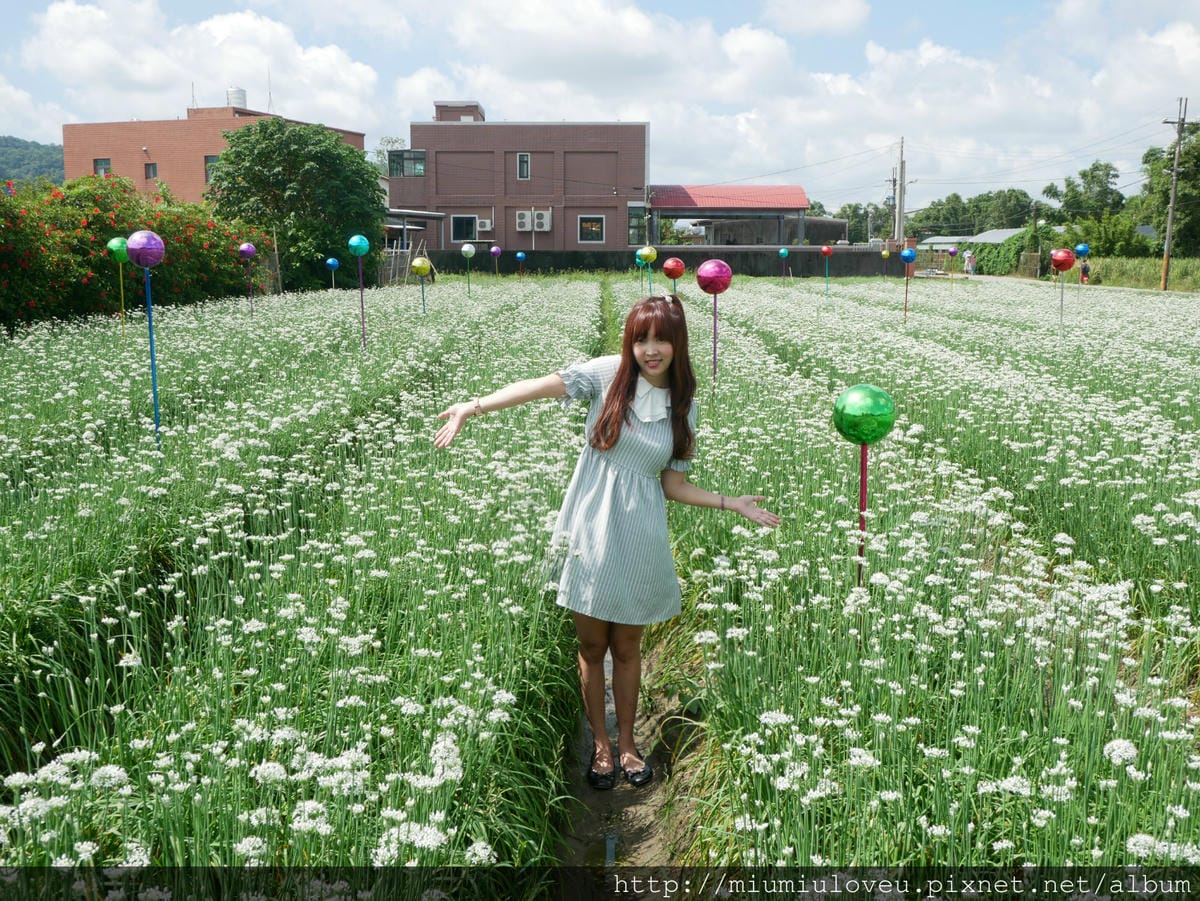 P1160877_meitu_66.jpg P1160877_meitu_66.jpg