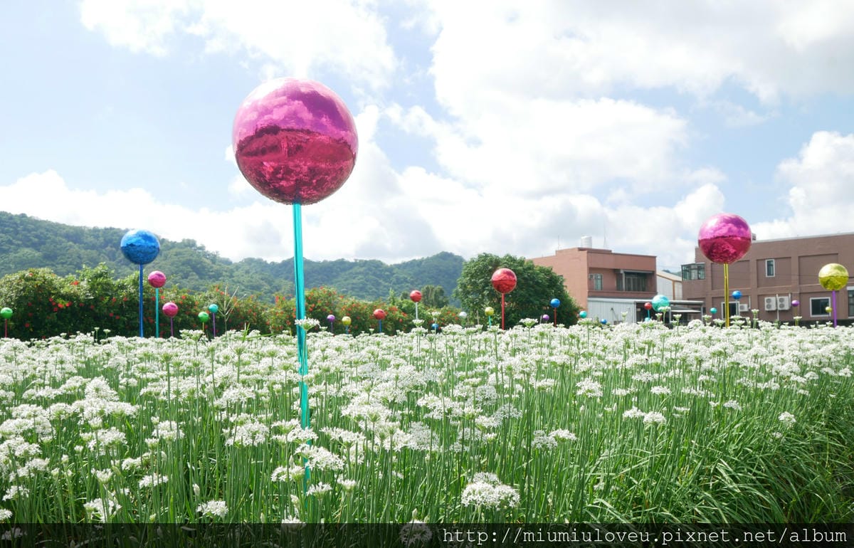 P1160742_meitu_50.jpg P1160742_meitu_50.jpg