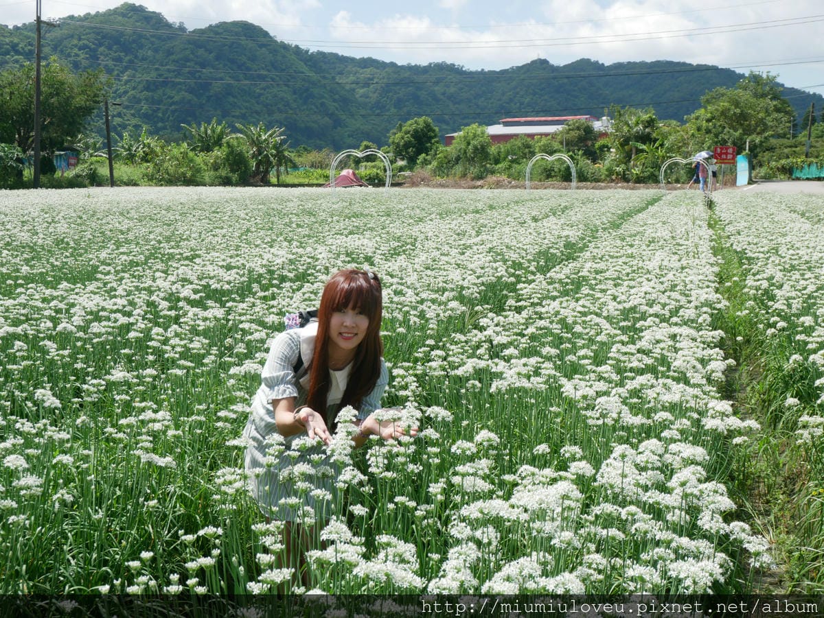 P1170064 - 複製_meitu_72.jpg P1170064 - 複製_meitu_72.jpg