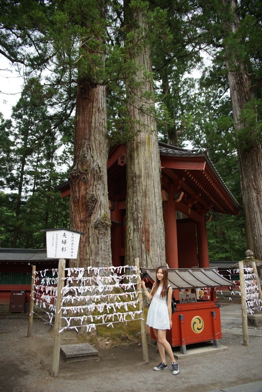 DSC05730_副本.jpg DSC05730_副本.jpg