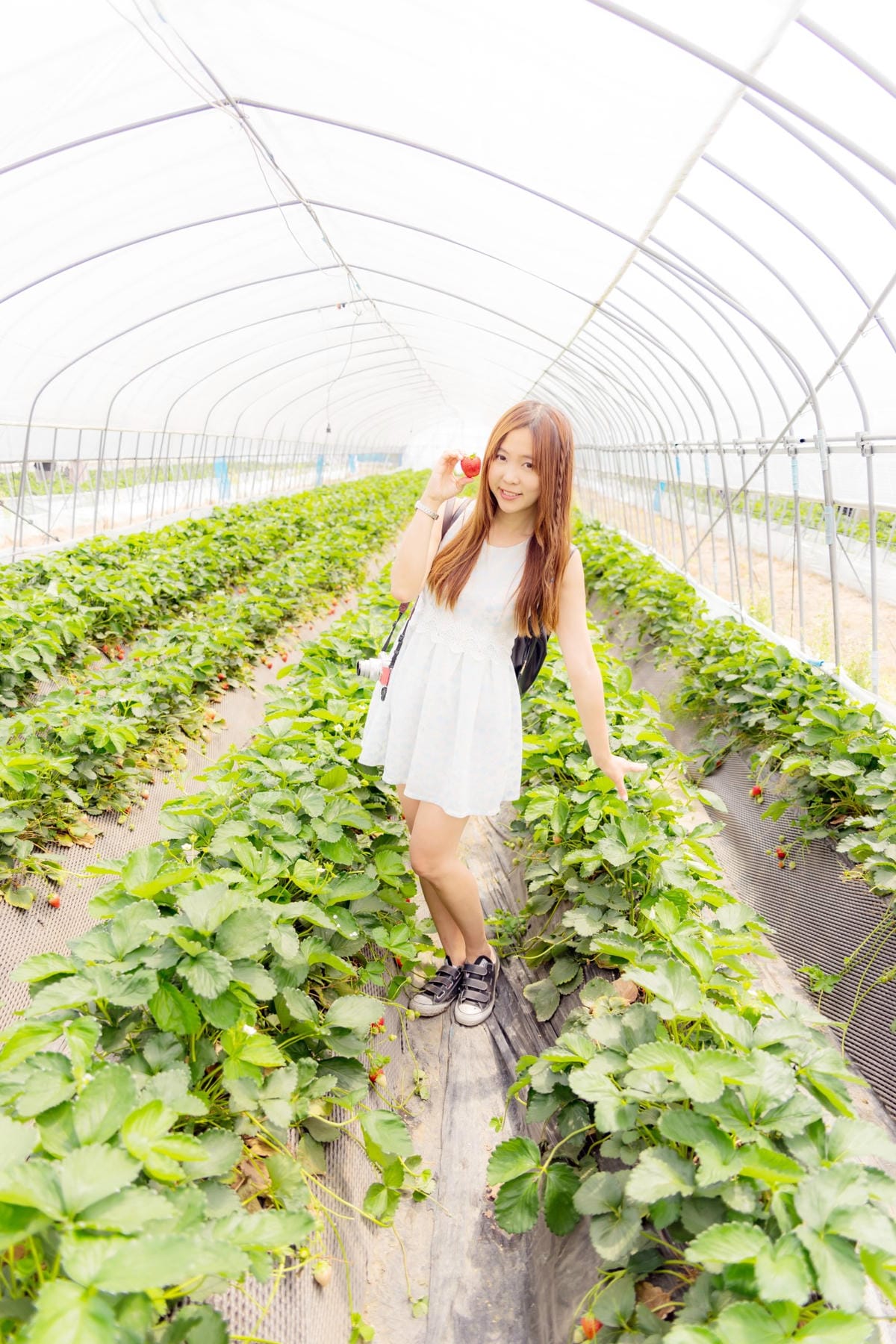 DSC05612_副本.jpg DSC05612_副本.jpg