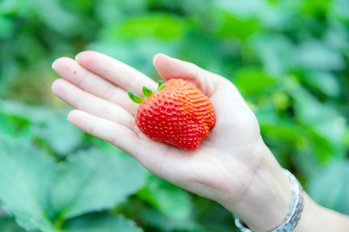 DSC05606_副本.jpg DSC05606_副本.jpg