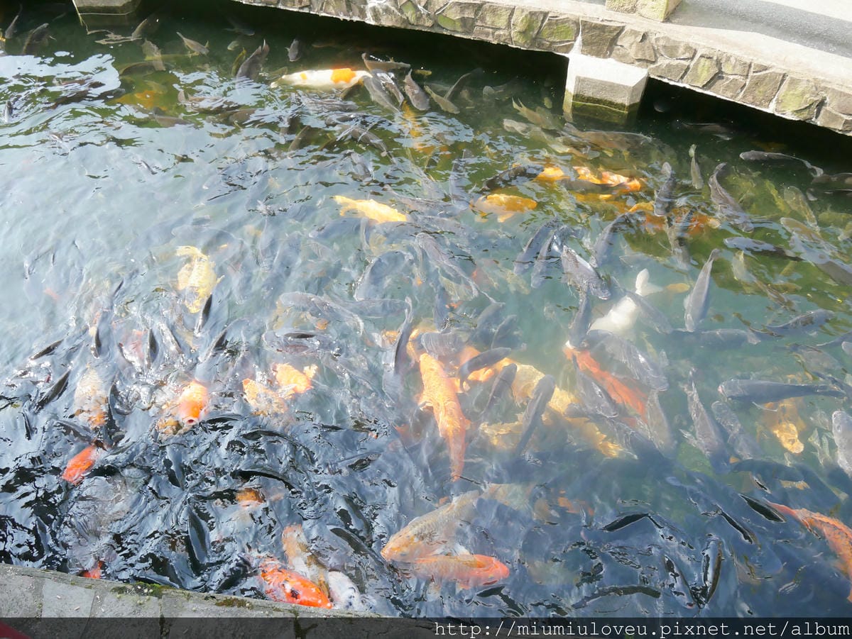 P1180254.JPG P1180254.JPG