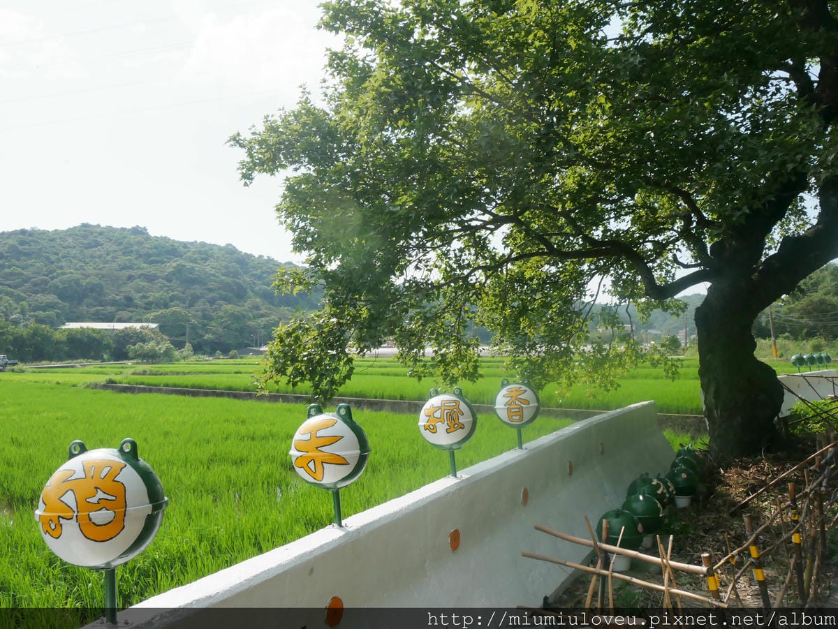 P1180293.JPG P1180293.JPG