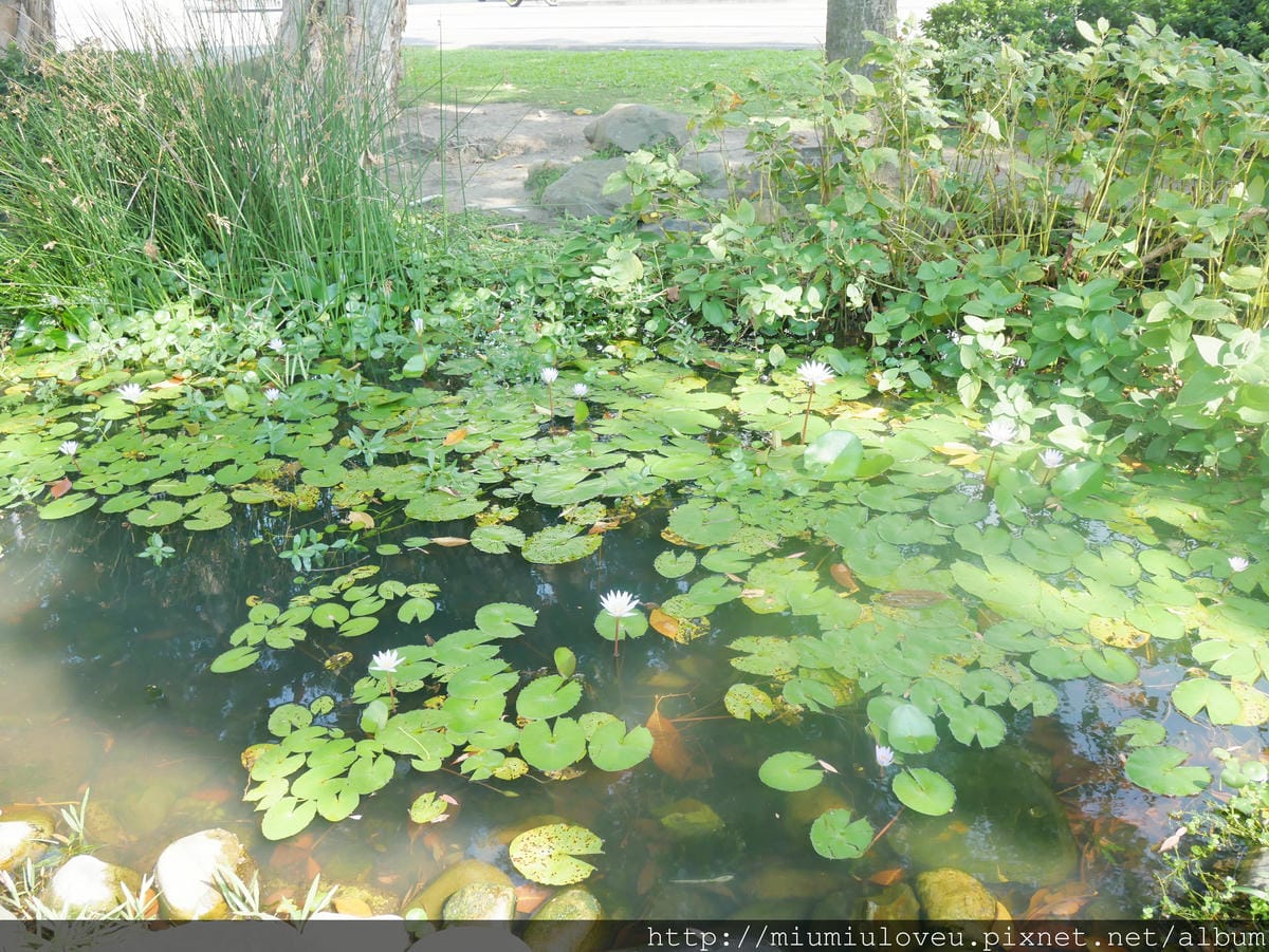 P1180146.JPG P1180146.JPG