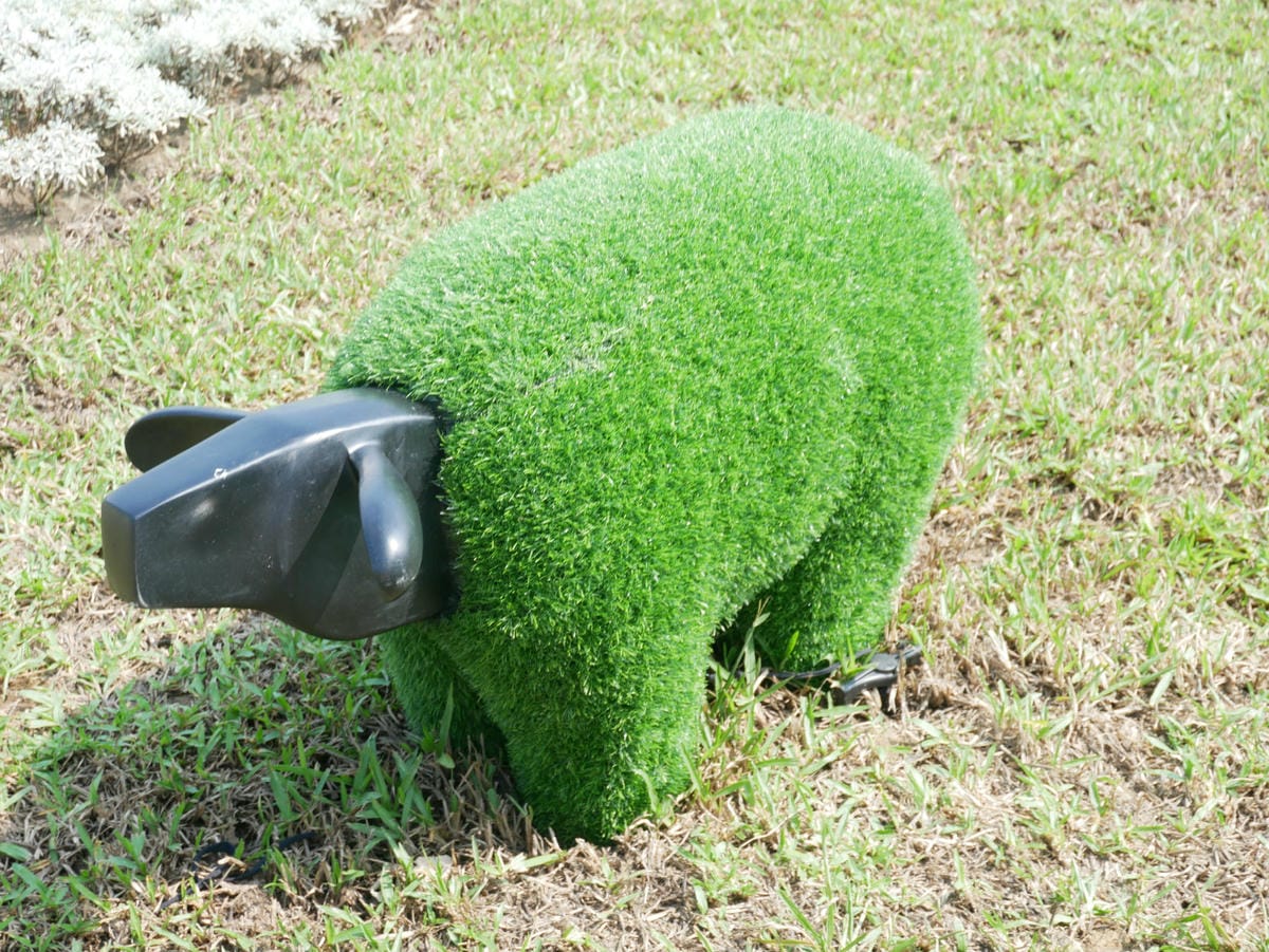 5-6_meitu_19.jpg 5-6_meitu_19.jpg