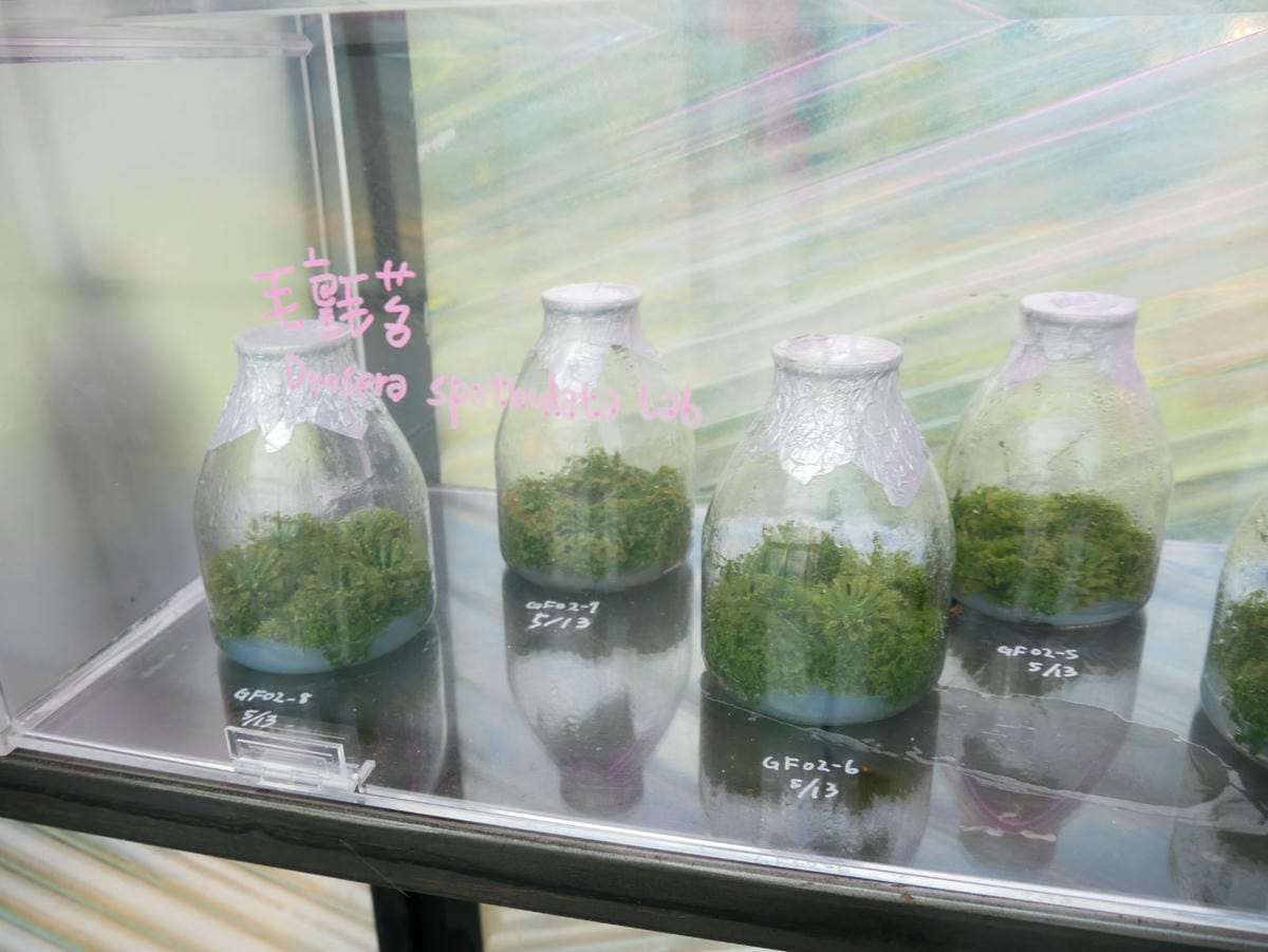 82_meitu_99.jpg 82_meitu_99.jpg