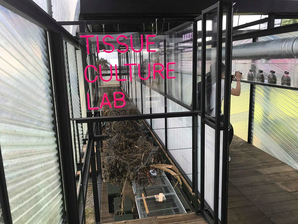 79_meitu_96.jpg 79_meitu_96.jpg