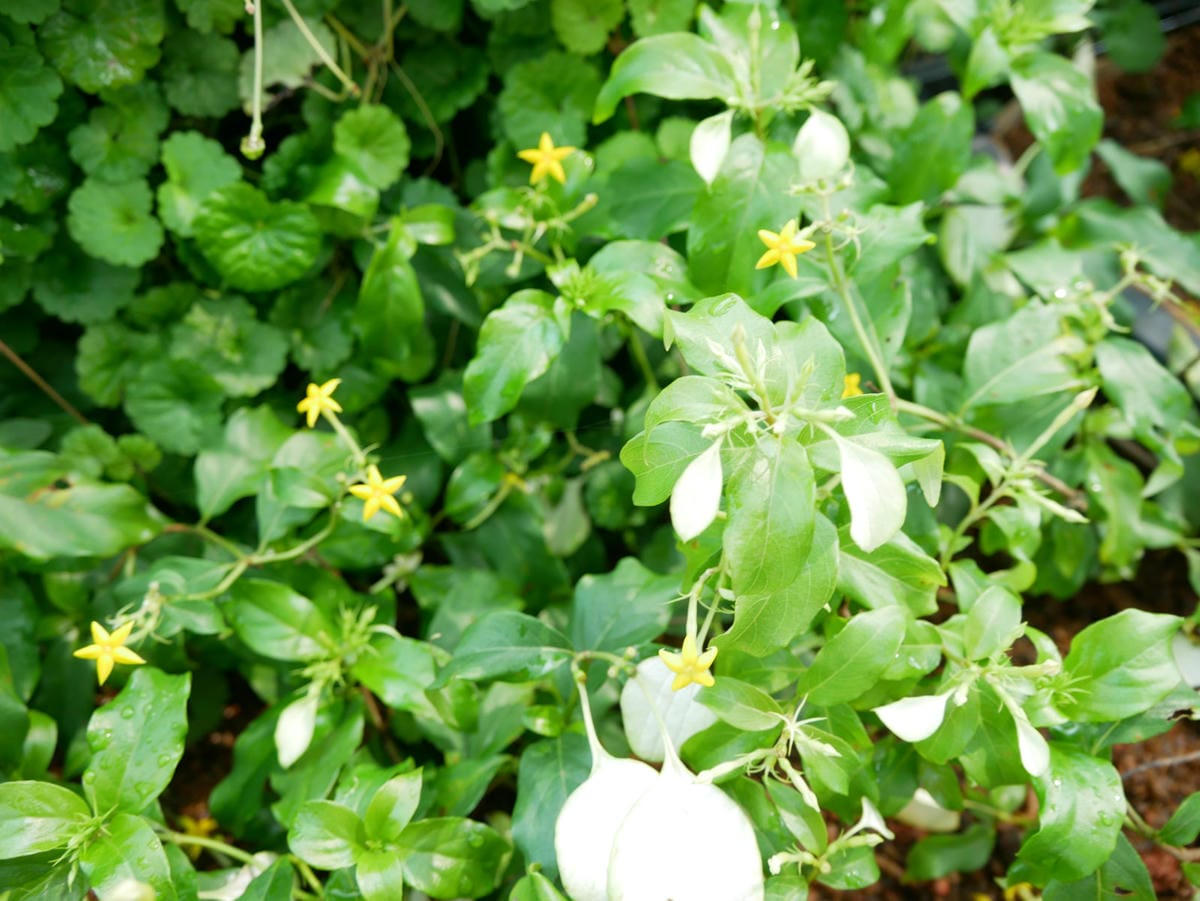 71_meitu_88.jpg 71_meitu_88.jpg