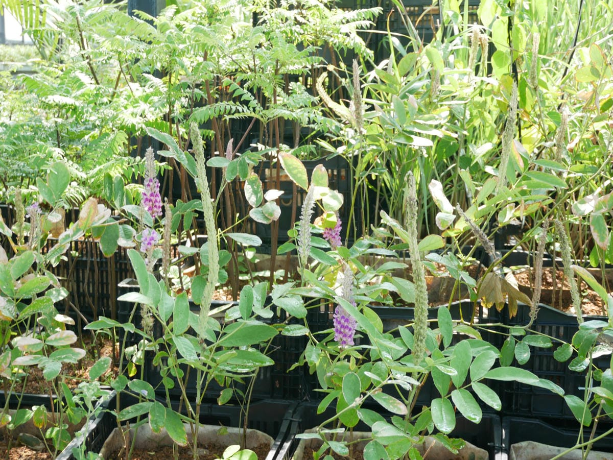 76_meitu_93.jpg 76_meitu_93.jpg