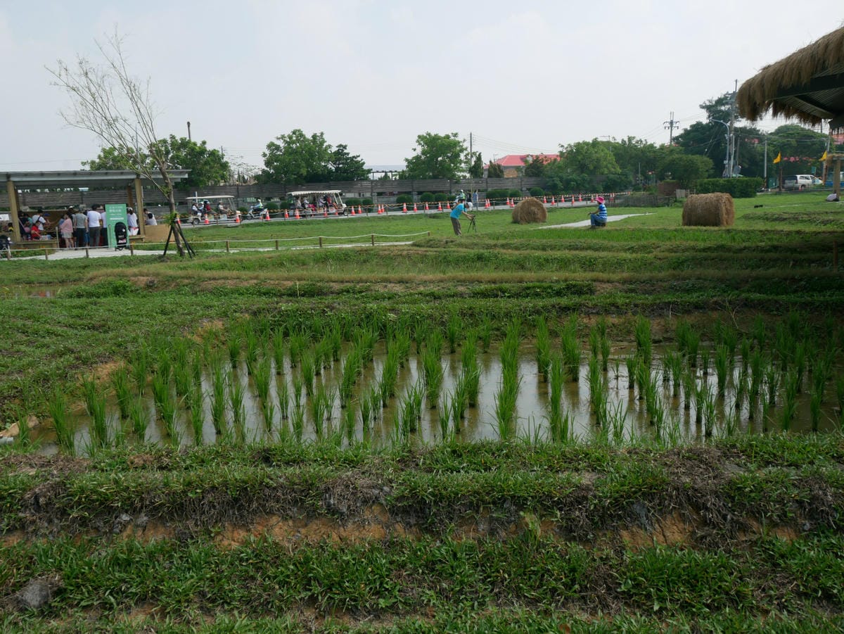 4-3_meitu_8.jpg 4-3_meitu_8.jpg