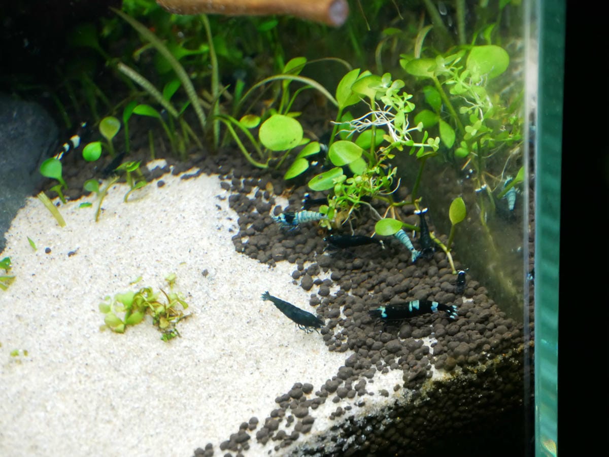 35_meitu_47.jpg 35_meitu_47.jpg