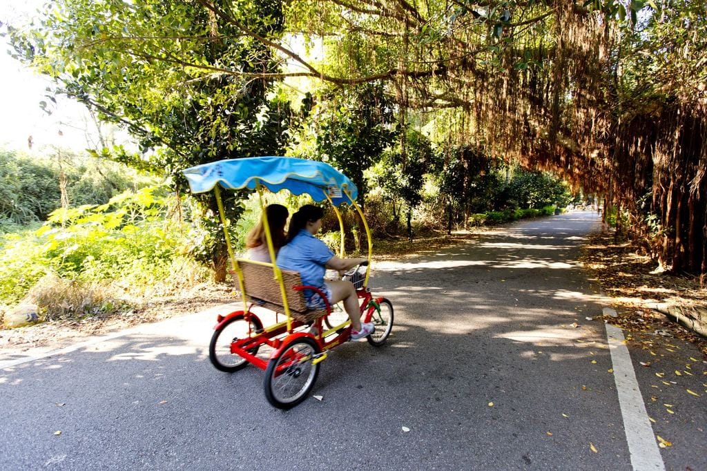 5.車道穿梭於涼爽樹林中.jpg 5.車道穿梭於涼爽樹林中.jpg
