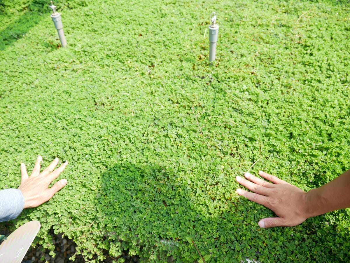 74_meitu_91.jpg 74_meitu_91.jpg