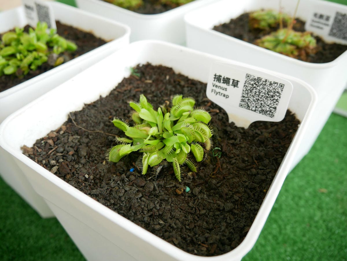 14-1_meitu_28.jpg 14-1_meitu_28.jpg