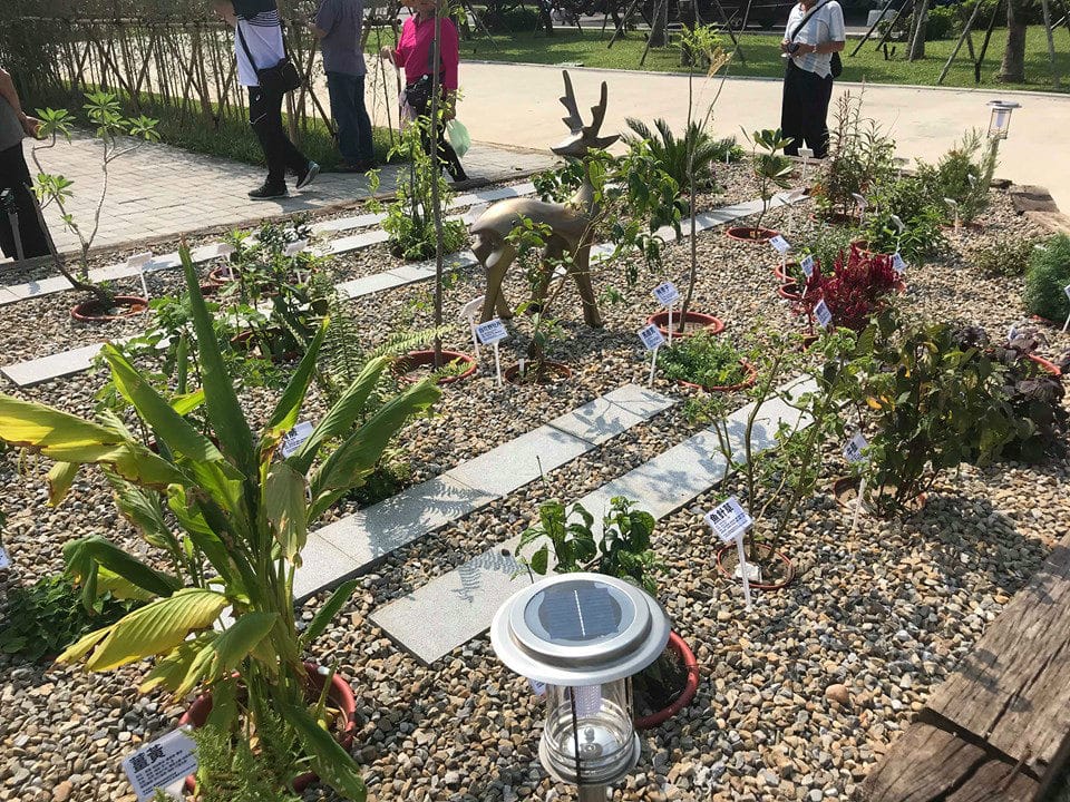 12-1_meitu_26.jpg 12-1_meitu_26.jpg