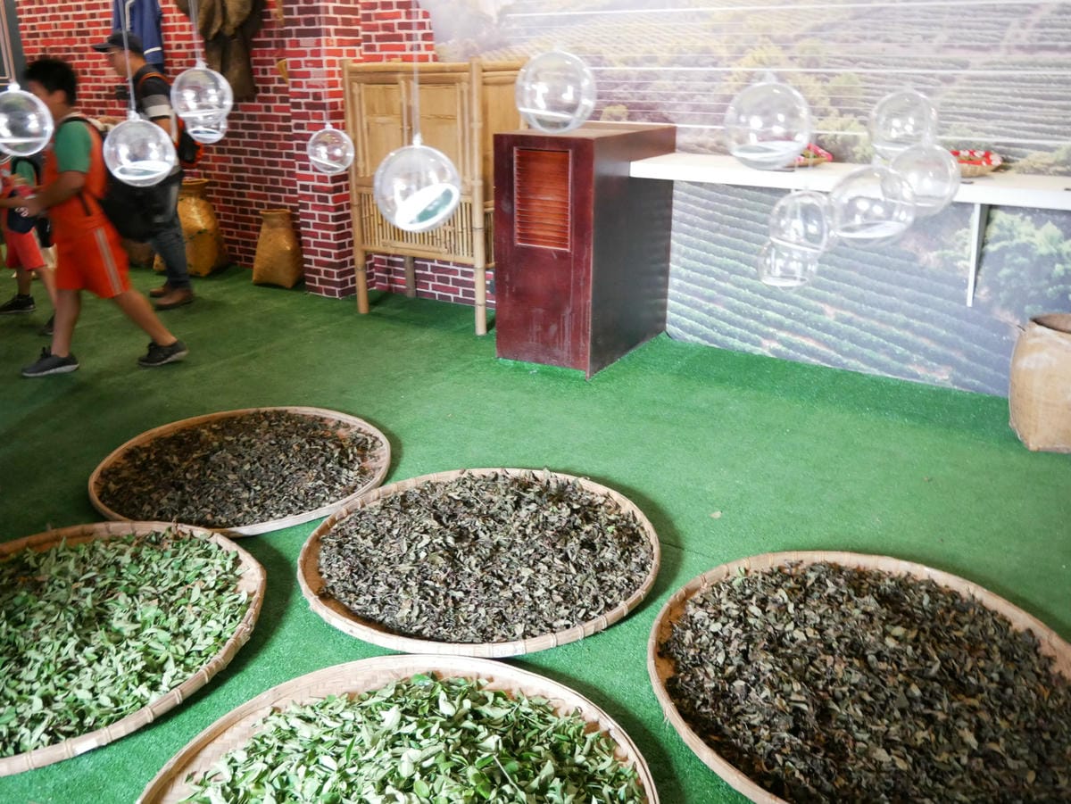 44_meitu_58.jpg 44_meitu_58.jpg