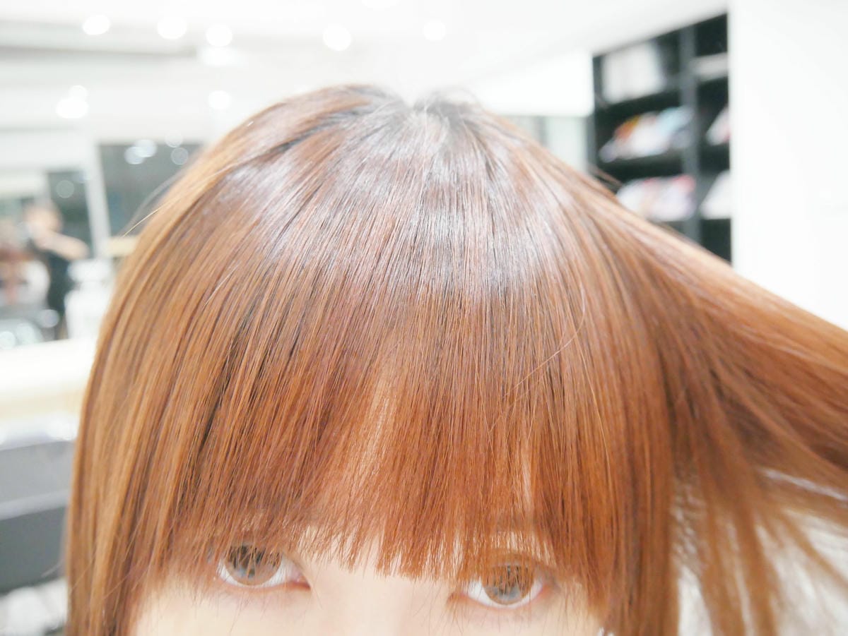 P1210404.JPG P1210404.JPG