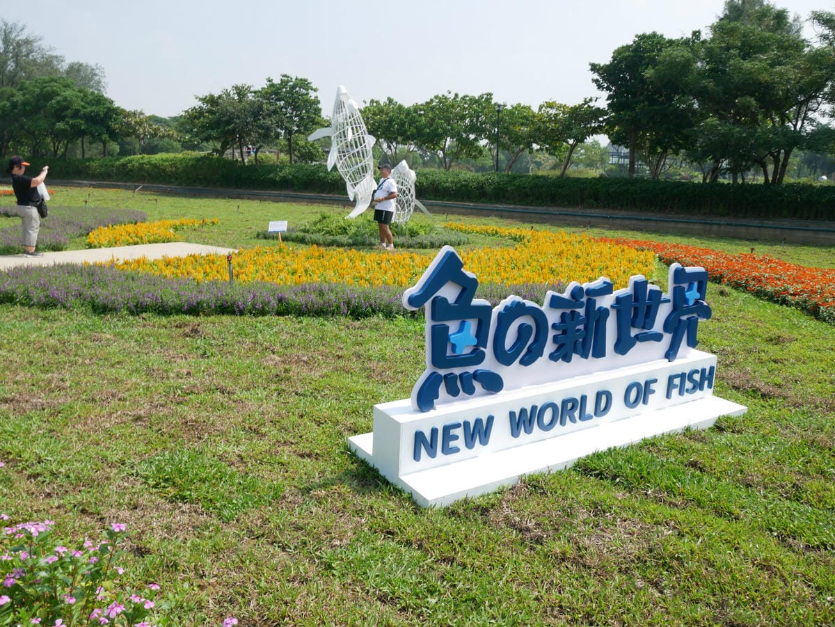 30-0_meitu_41.jpg 30-0_meitu_41.jpg