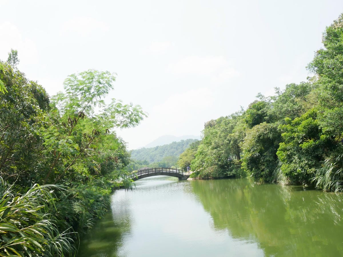 P1190368_副本.jpg P1190368_副本.jpg