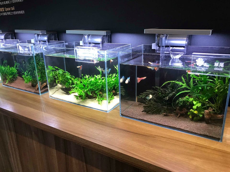 32_meitu_44.jpg 32_meitu_44.jpg