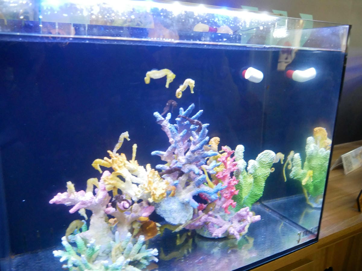 33_meitu_45.jpg 33_meitu_45.jpg