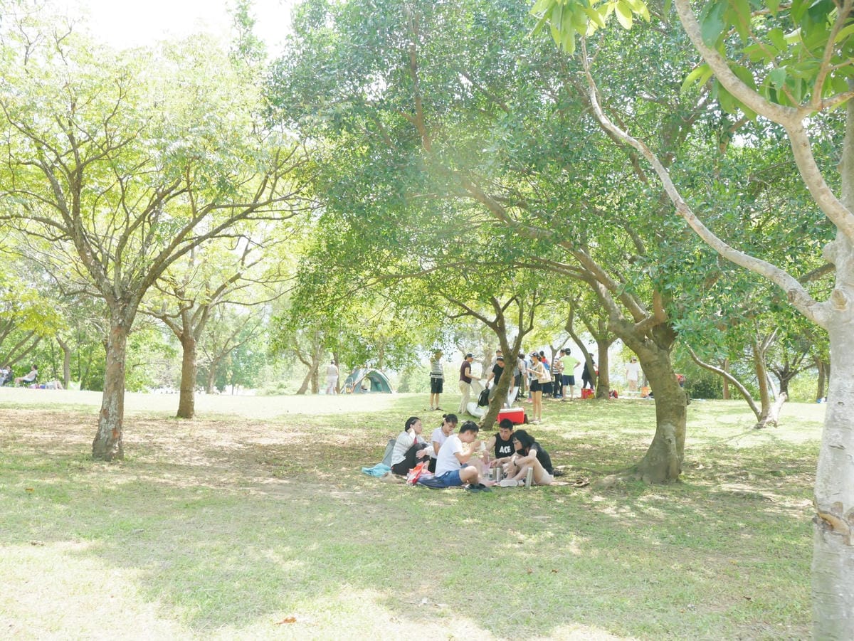 P1190401_副本.jpg P1190401_副本.jpg