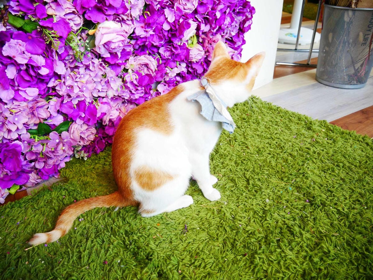 P1030657_副本.jpg P1030657_副本.jpg