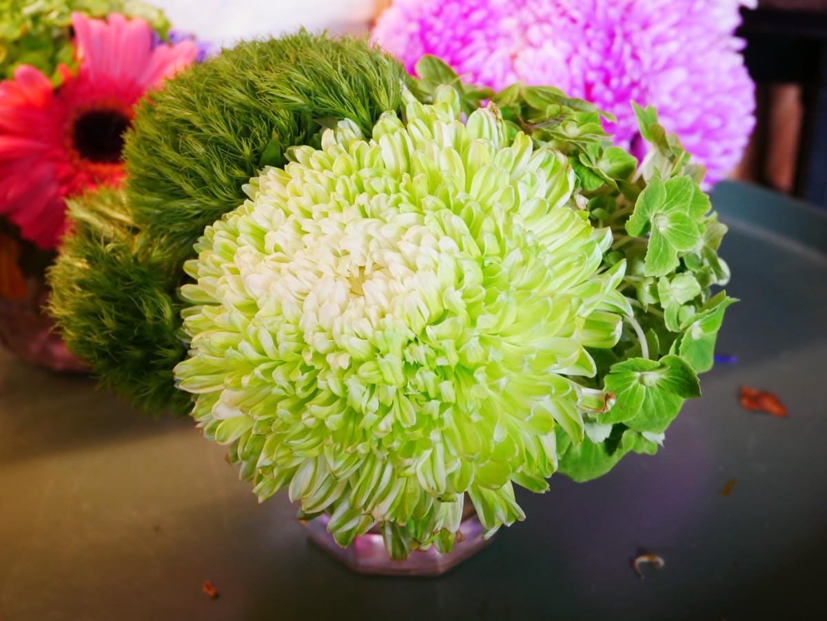 P1030758_副本.jpg P1030758_副本.jpg