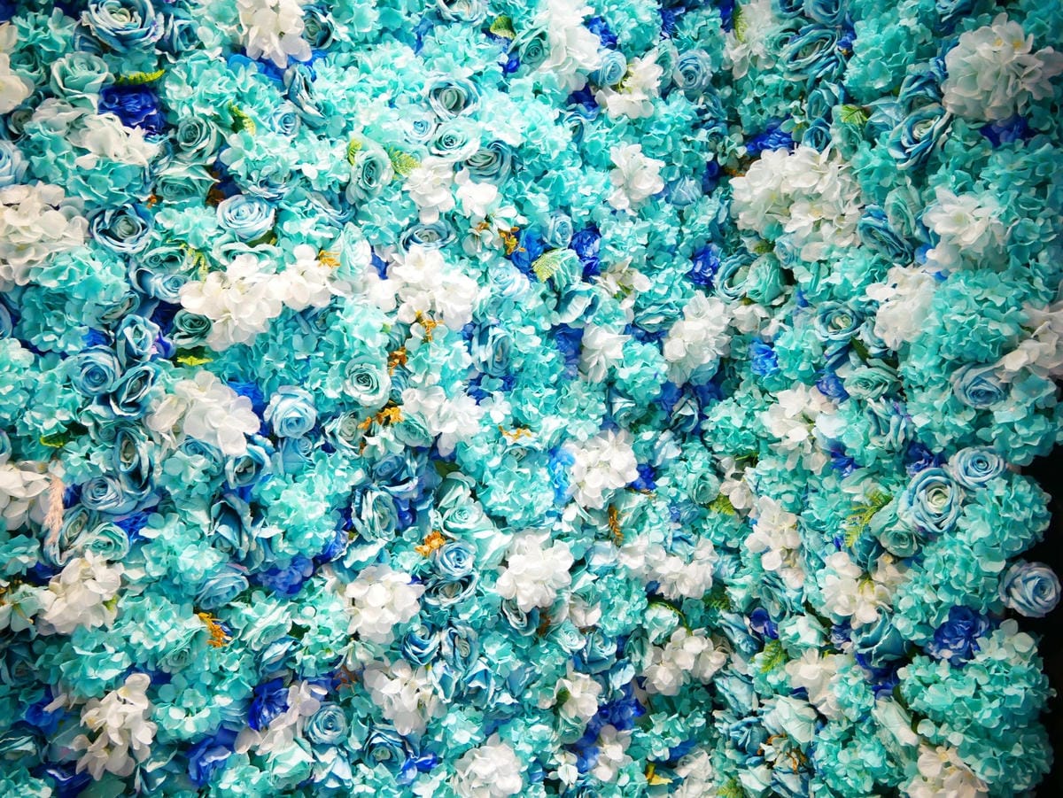 P1030331_副本.jpg P1030331_副本.jpg