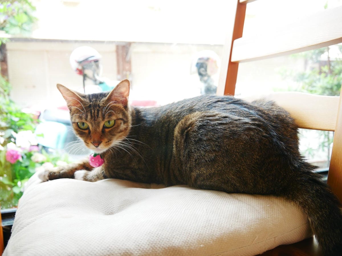 P1030348_副本.jpg P1030348_副本.jpg