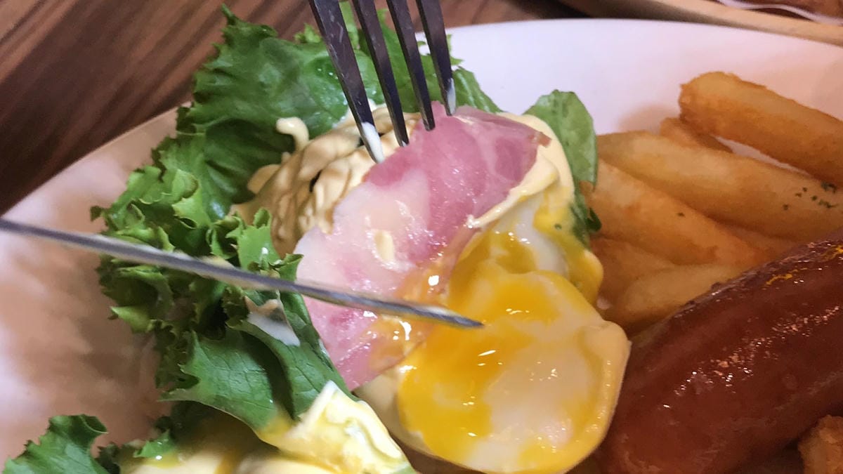 78764708_558018545035246_7683126649168068608.jpg 78764708_558018545035246_7683126649168068608.jpg