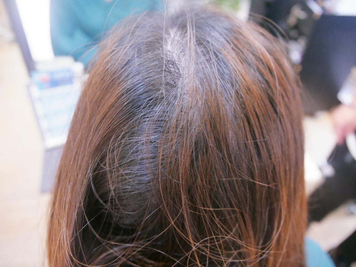 P1440945_副本.jpg P1440945_副本.jpg