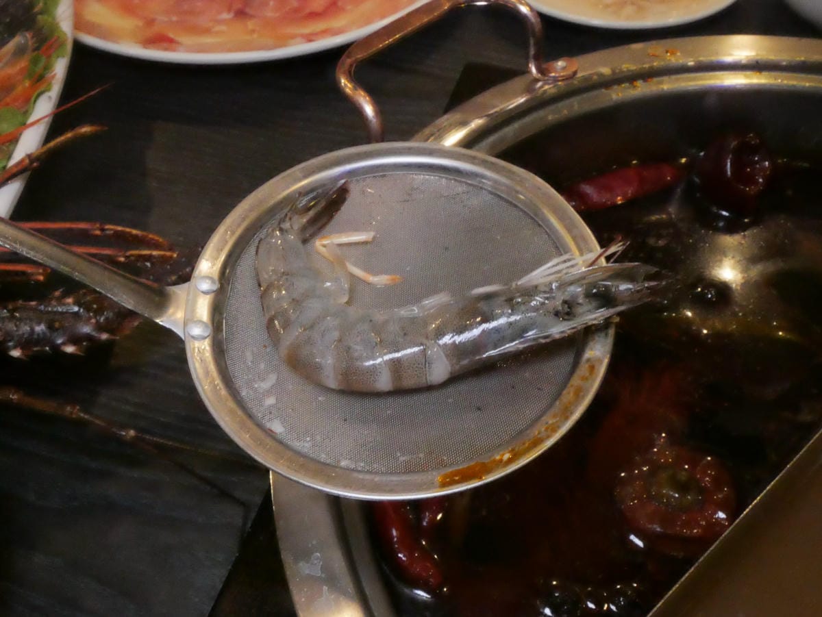 P1430484_副本.jpg P1430484_副本.jpg