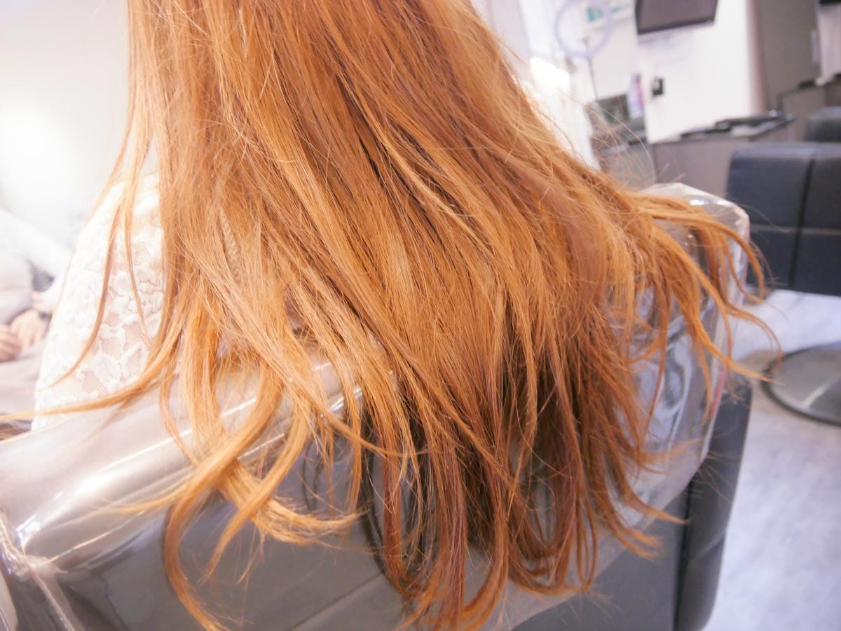 P1450828_副本.jpg P1450828_副本.jpg