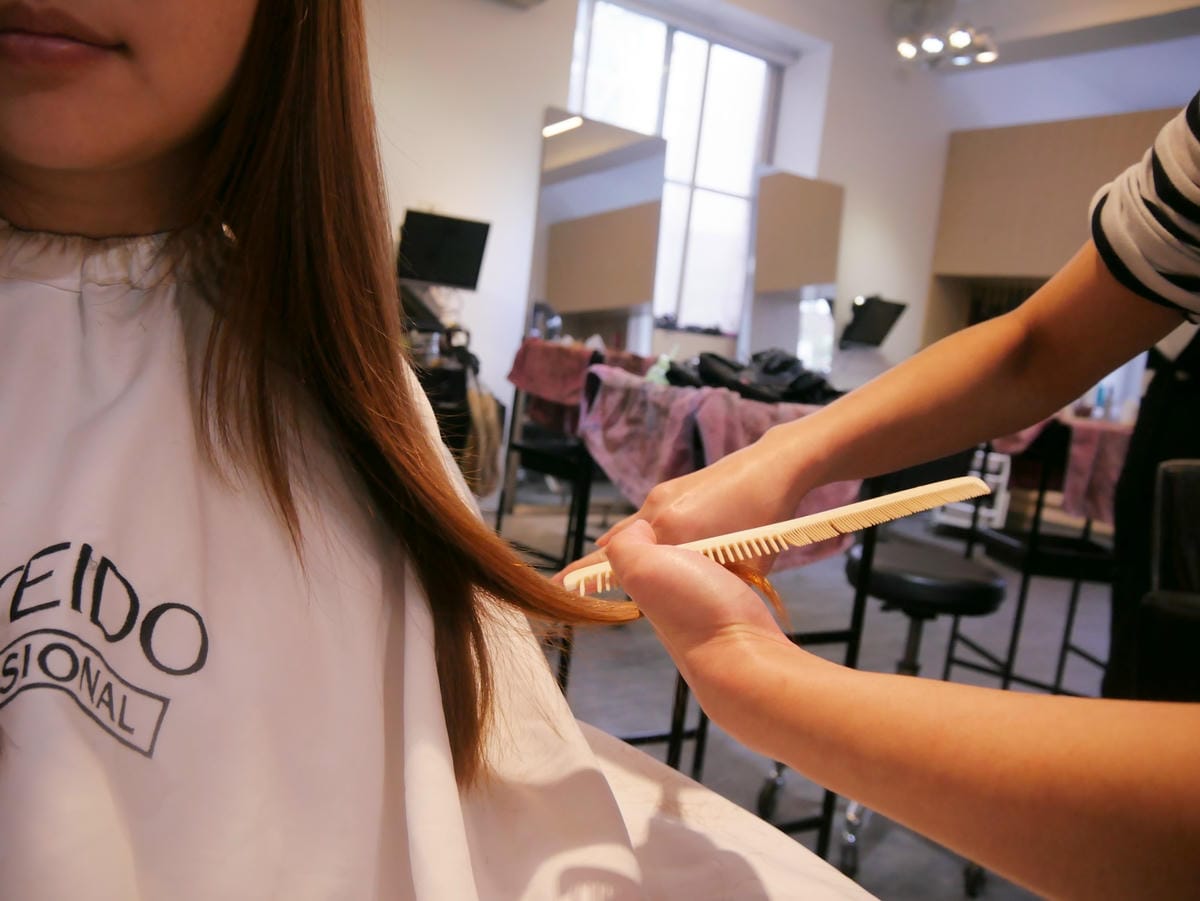 P1450833_副本.jpg P1450833_副本.jpg