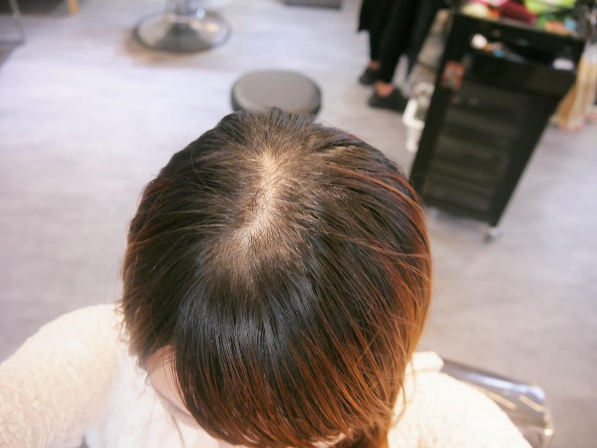 P1450813_副本.jpg P1450813_副本.jpg