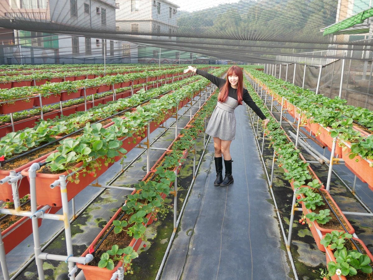 P1470717_副本.jpg P1470717_副本.jpg