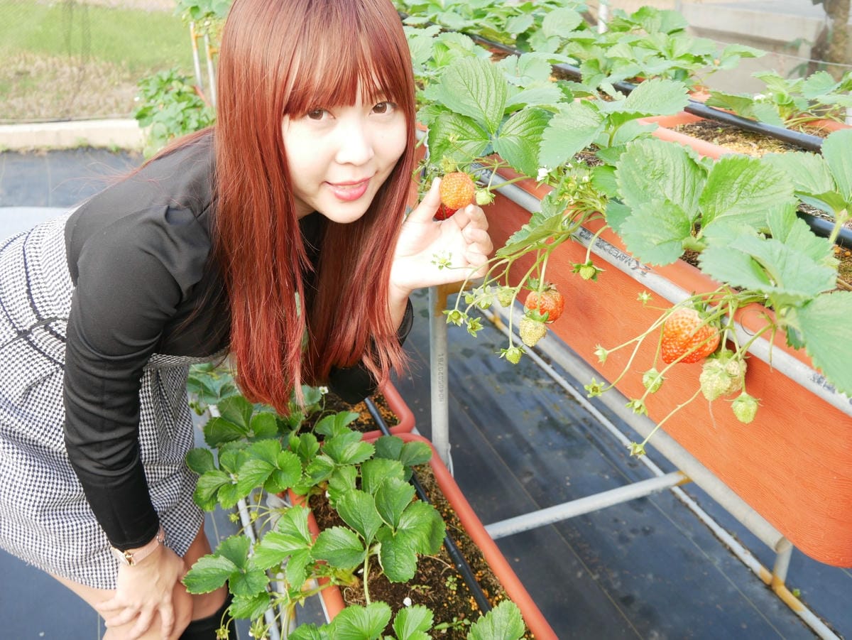 P1470728_副本.jpg P1470728_副本.jpg