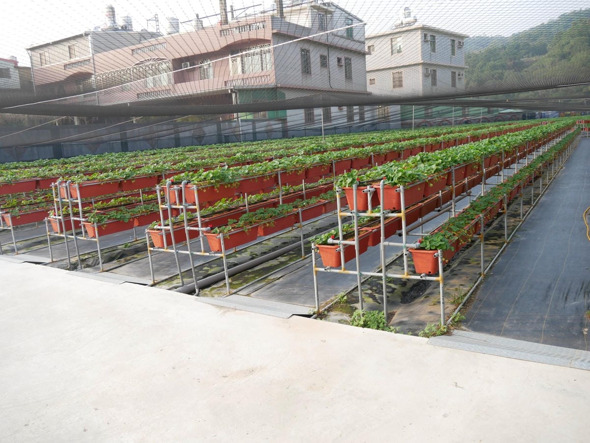 P1470715_副本.jpg P1470715_副本.jpg